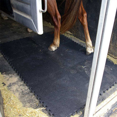 Horse standing on rubber stable mats with drainage grooves on stable floor