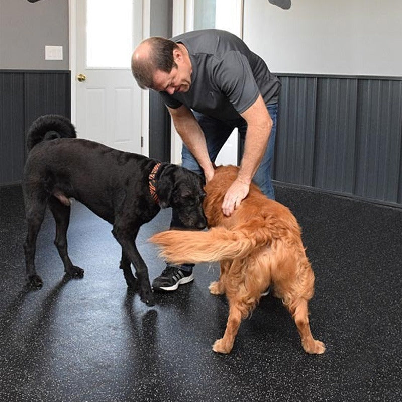 Kennel Flooring – Comfortable & Hygienic Non-Slip Matting