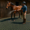 Heavy-Duty Rubber Grass Mats – Anti-Slip Gateway & Horse Stable Flooring for Mud Control & Drainage - Slip Not Co Uk
