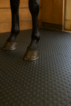 Interlocking studded walkway mat with horse hooves standing on rubber tile; heavy-duty natural rubber/SBR puzzle mat tile with coin stud pattern providing non-slip traction and cushioning for stables, kennels, animal pens and industrial walkways. Measures 1 m × 1 m and 17 mm thick.