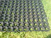 Black Rubber Grass Mats Roll - 1m x 10m