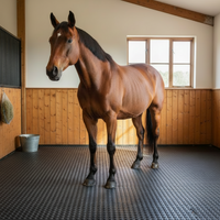 Horse Stable Mats Guide