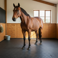 Equestrian Stable Mats UK | Premium Rubber Horse Stable Mats – Heavy-Duty Non-Slip 12mm & 18mm | 6ft x 4ft Reversible