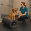 Plain rubber matting flooring demonstration video with dog and caretaker rolling a heavy-duty mat