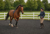 Premium Equestrian Rubber Chippings – 500 kg Arena Surface