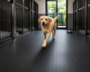 Round Dot Rubber Kennel Flooring – Non-Slip Hygienic Mat for Dog Runs