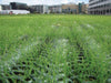 Standard Grass Protection Reinforcement Mesh Non Slip - Slip Not Co Uk